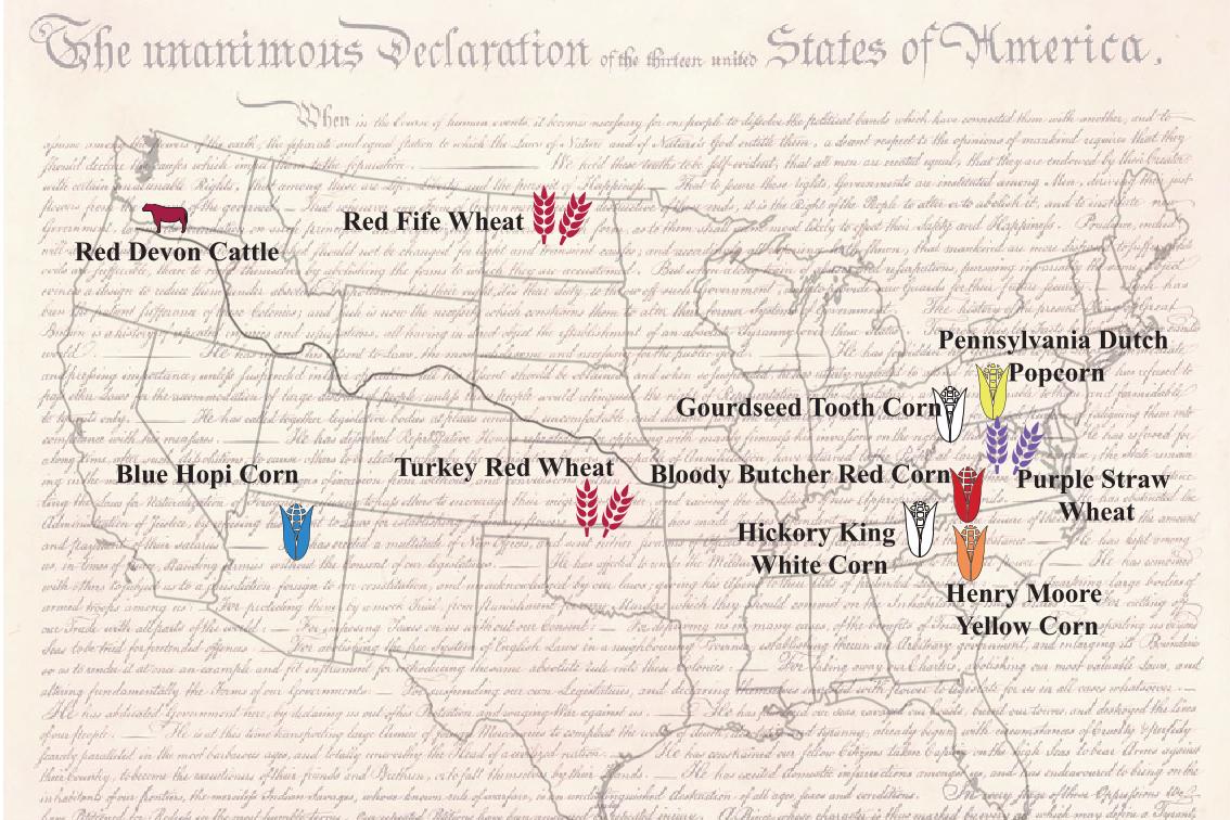 Celebrate The Food That Made America