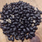Black Turtle Bean