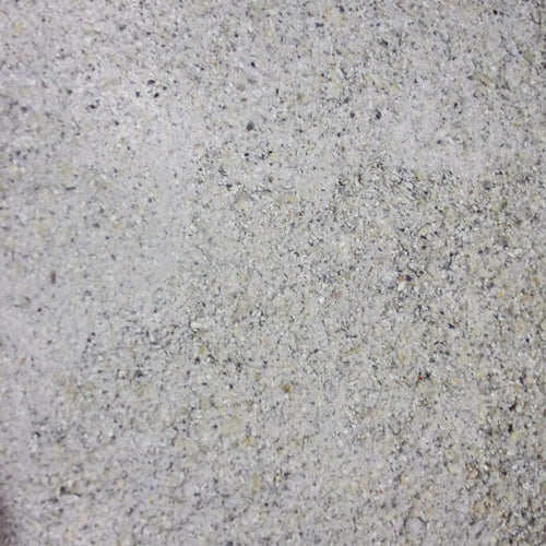 Close-up of ground blue hopi corn.