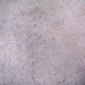 Buckwheat