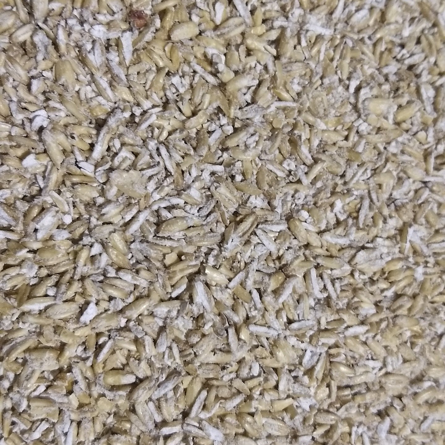 Hulless Oats