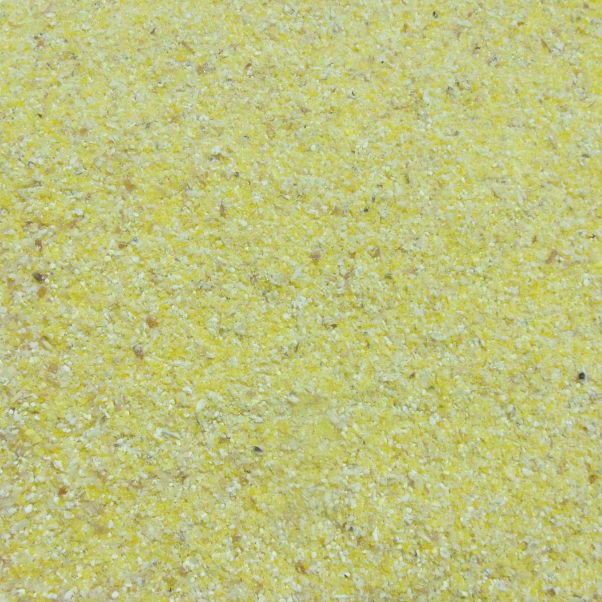 Feed Corn