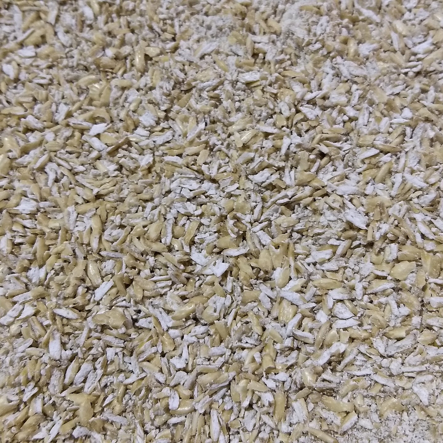 Hulless Oats