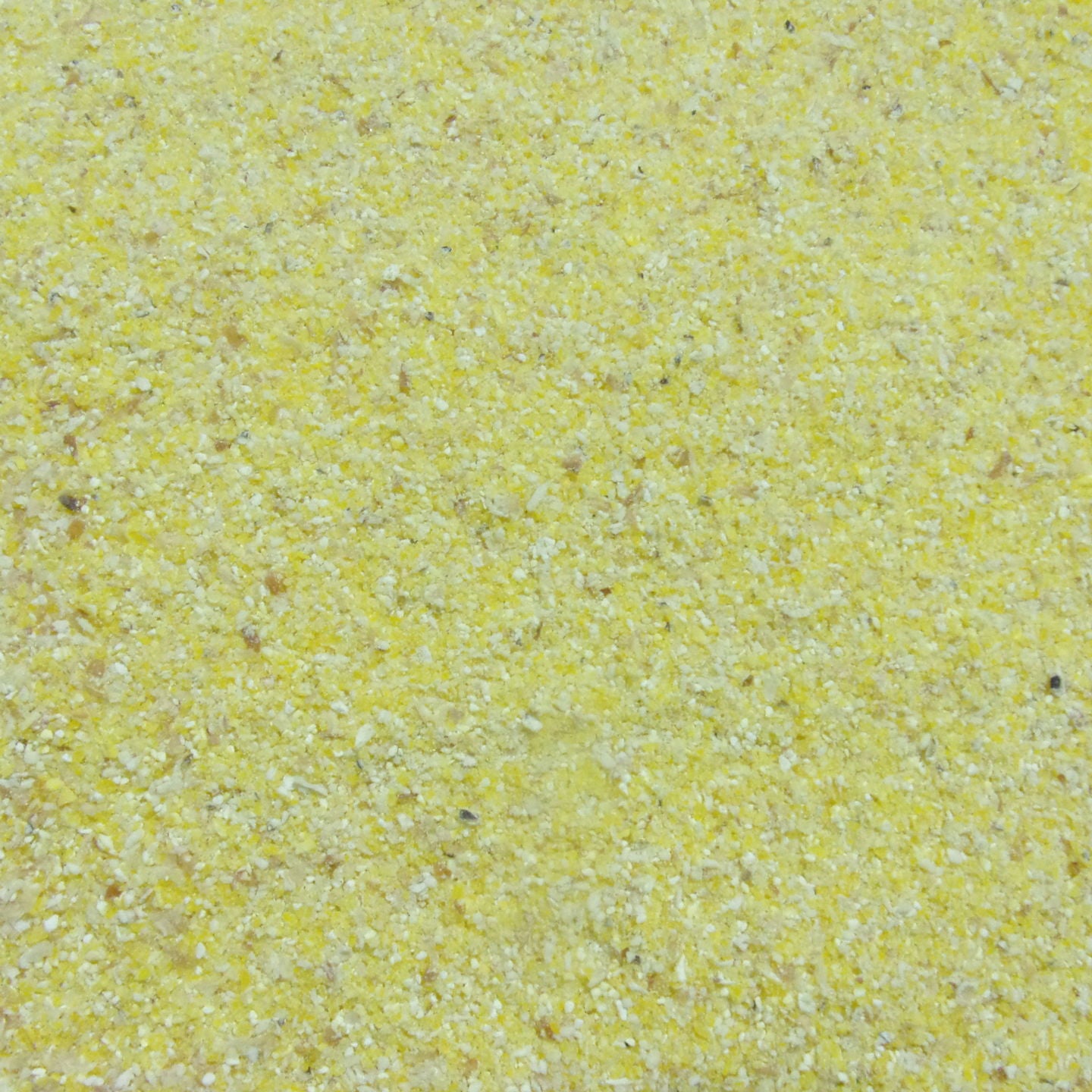 Henry Moore Yellow Dent Corn