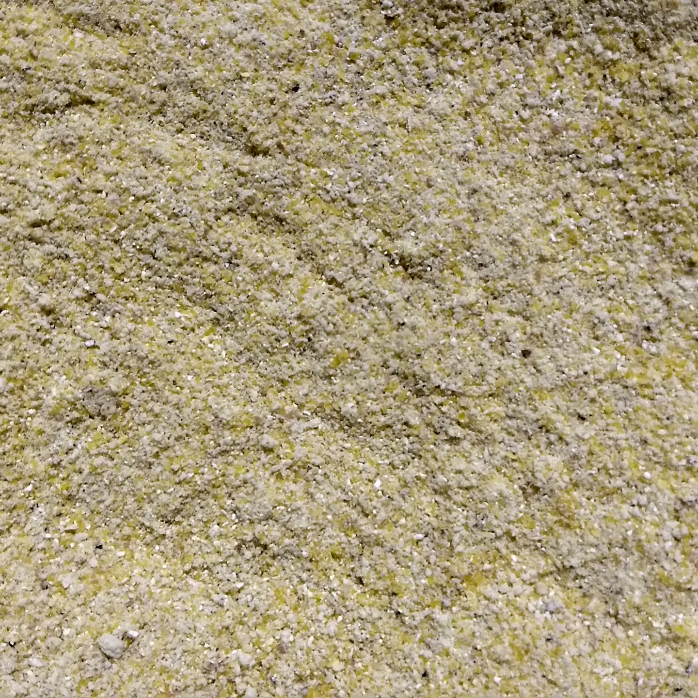 Henry Moore Yellow Dent Corn
