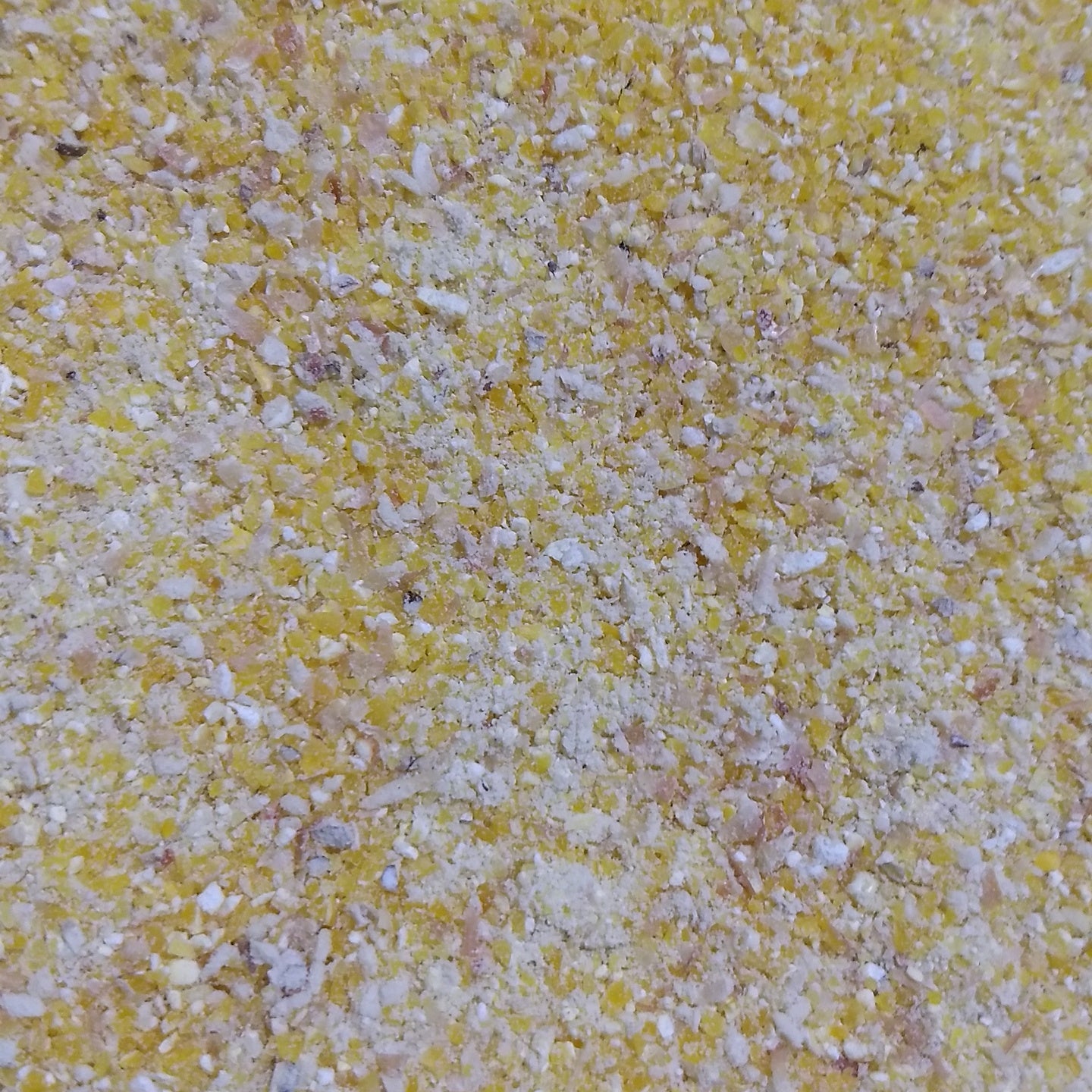Henry Moore Yellow Dent Corn