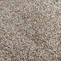 Hulless Oats