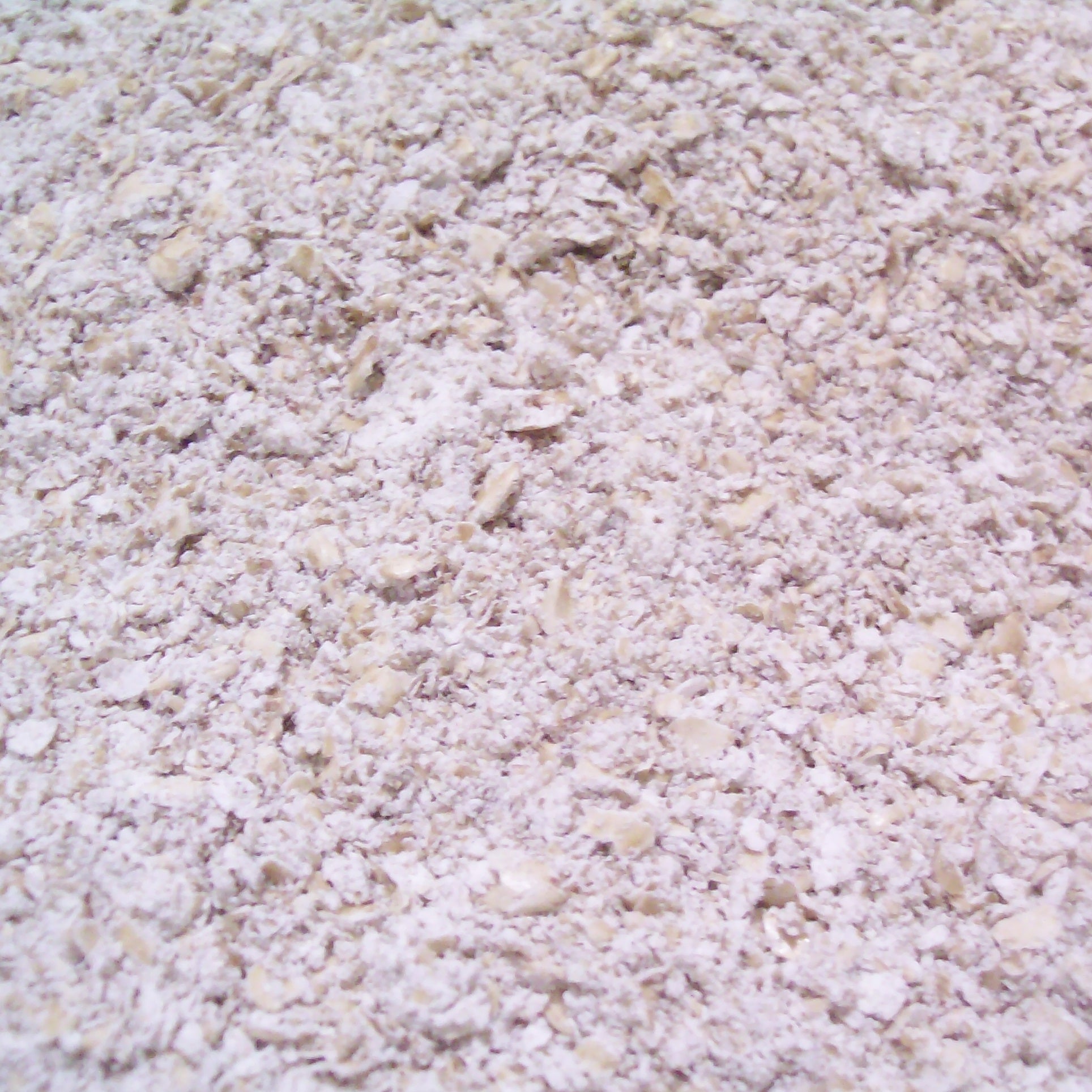 Hulless Oats