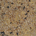 Chicken Layer Mix