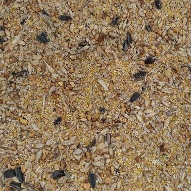 Chicken Layer Mix