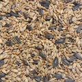 Scratch Grains