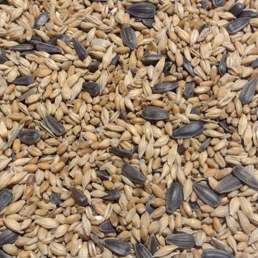 Scratch Grains