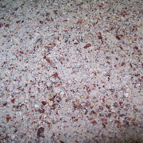 Bloody Butcher Red Corn