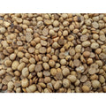 close up of roasted soybeans for feed