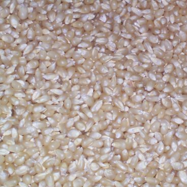 Close-up of unpopped white pocorn